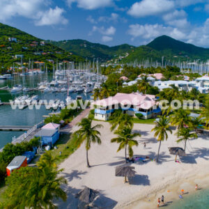 Peg Legs Aerial Close Up - Paper Print