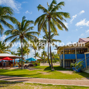 Peg Legs & Beach Bar - paper print