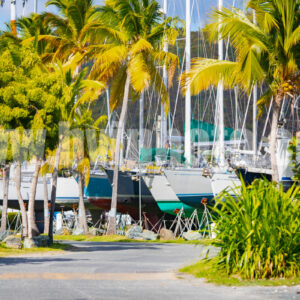 Raldo Way - Paper Print